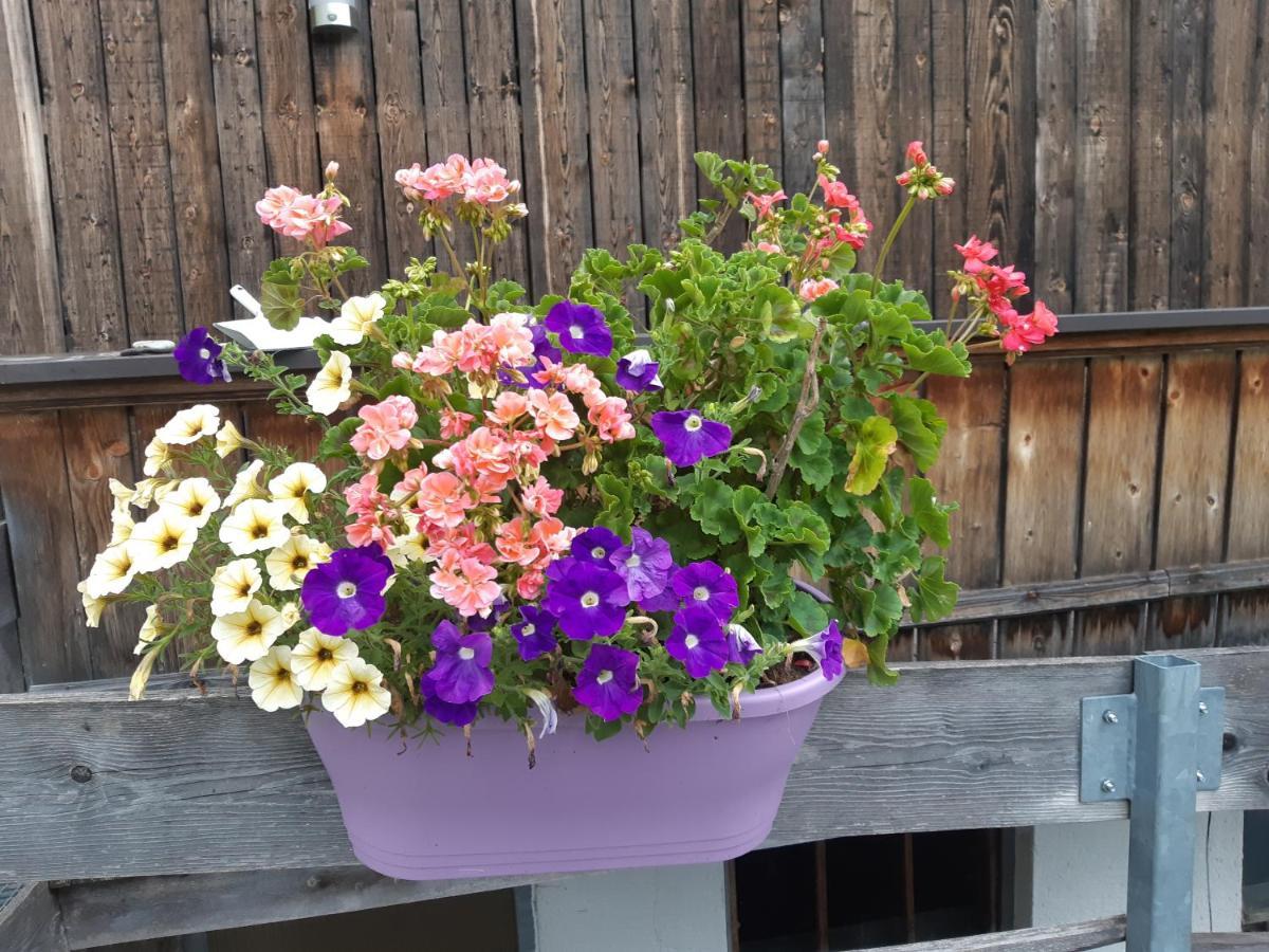 Ferienwohnung Schatzhof ヨッホベルク エクステリア 写真