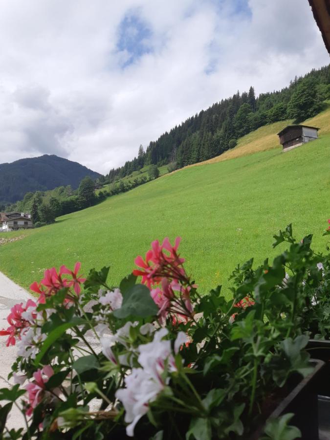 Ferienwohnung Schatzhof ヨッホベルク エクステリア 写真